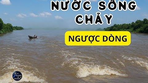 Nước sông chảy "NGƯỢC DÒNG" - Chuyện Lạ Mỗi Ngày -