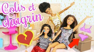 COLIS de VÊTEMENTS BARBIE et CHAGRIN D'AMOUR ! histoire de poupées ,doll show , fashion pack fr