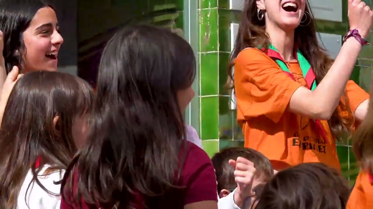 V de Voluntariat: Àmbits (Versió completa)