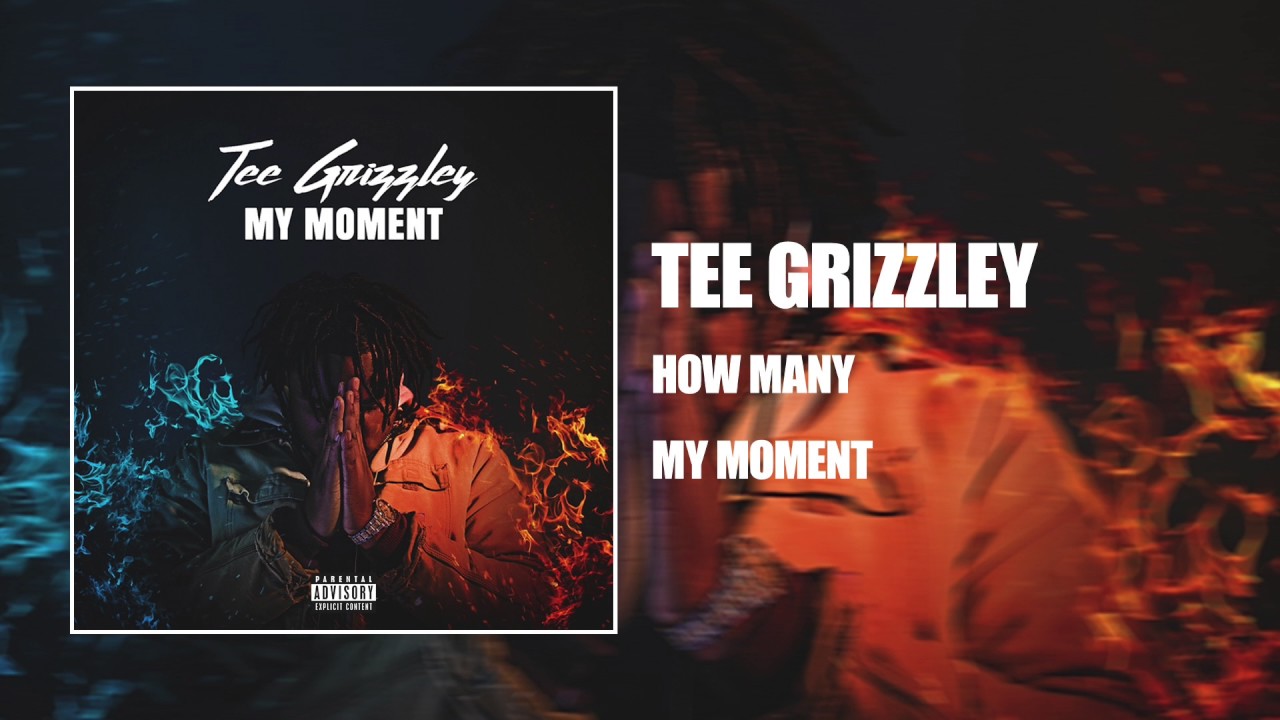 Tee Grizzley - How Many [Official Audio]