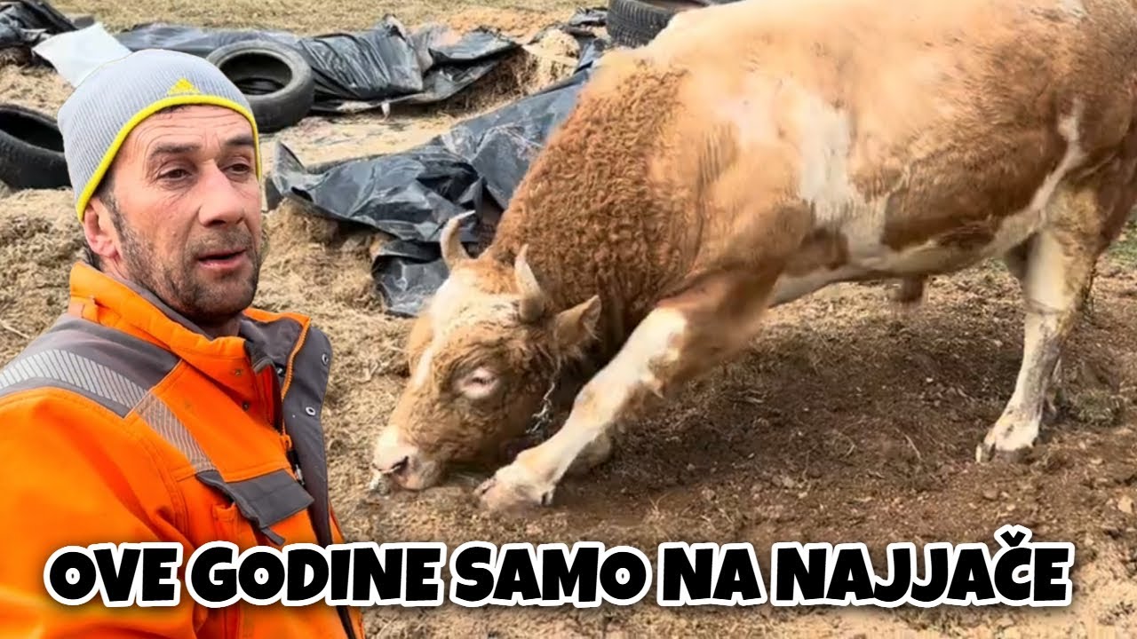 MIRZA FIŠEK KOD MENE SU SVE UDARAČI