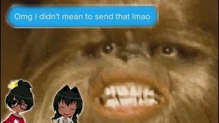 My Cat Typed It Roopsdidntmeanto