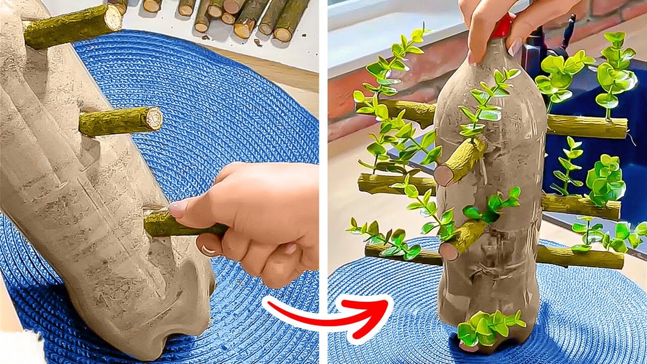 How To Grow Plants At Home YouTube