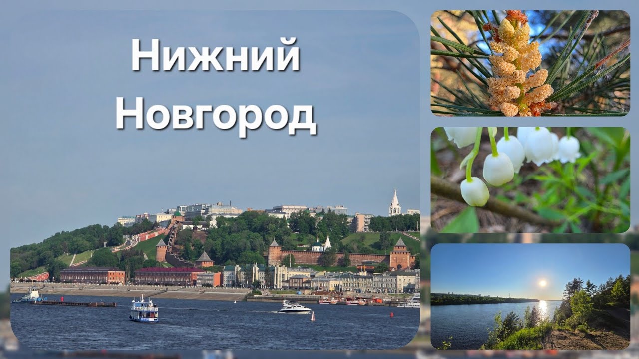 Командировка в Нижний Новгород, май 2025  #travel #nizhnynovgorod #nature