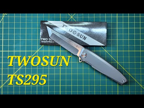 TWOSUN TS295, Action tuned by used car salesman, smmoooth, Not much to cry about here and under $50