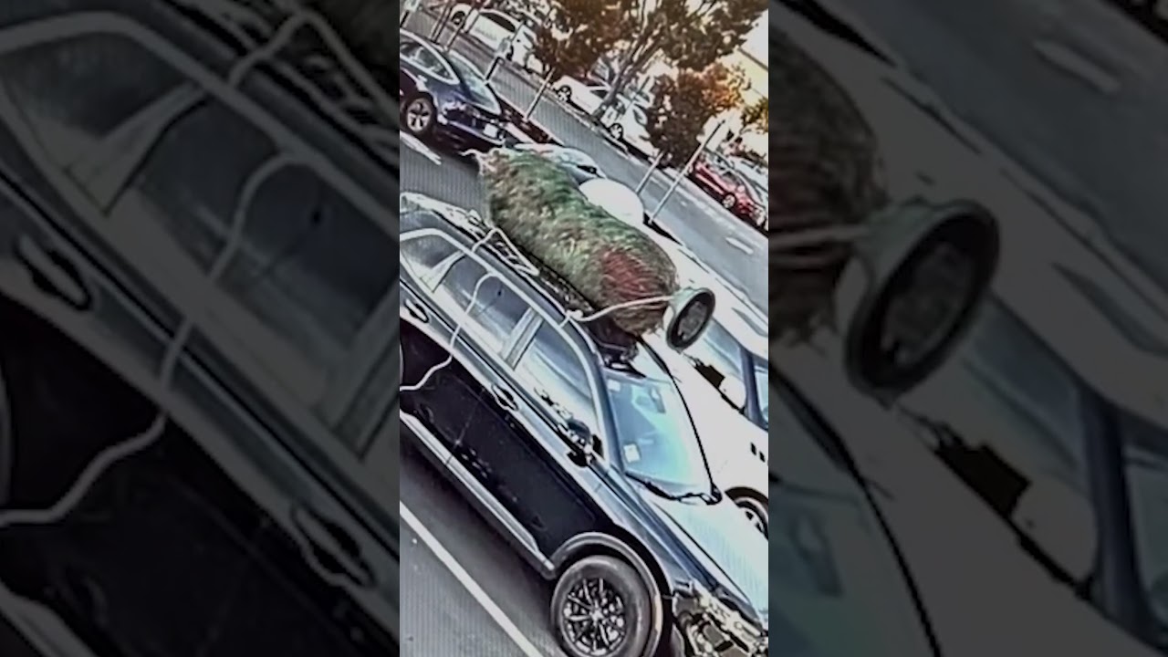 Watch: Grinch steals Christmas tree tied to park car #Shorts