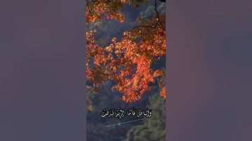 سورة الرعد و؛.كا.نك تسمعها لأ،.و.ل مر.ة💕♥️؛،💟🌸💗💓؛💞بصوت الشيخ حمزة مد،بو.ح 💛،💮💙🌼،.🌹💐❣️