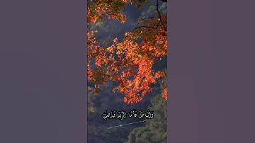 سورة الرعد و؛.كا.نك تسمعها لأ،.و.ل مر.ة💕♥️؛،💟🌸💗💓؛💞بصوت الشيخ حمزة مد،بو.ح 💛،💮💙🌼،.🌹💐❣️
