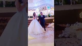 happy wedding.(agustian& vilia) wo de kuai le Jiu shi Xiang ni