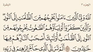 سورة البقرة مكررة من آية 257 إلى 259 القارئ وديع اليمني