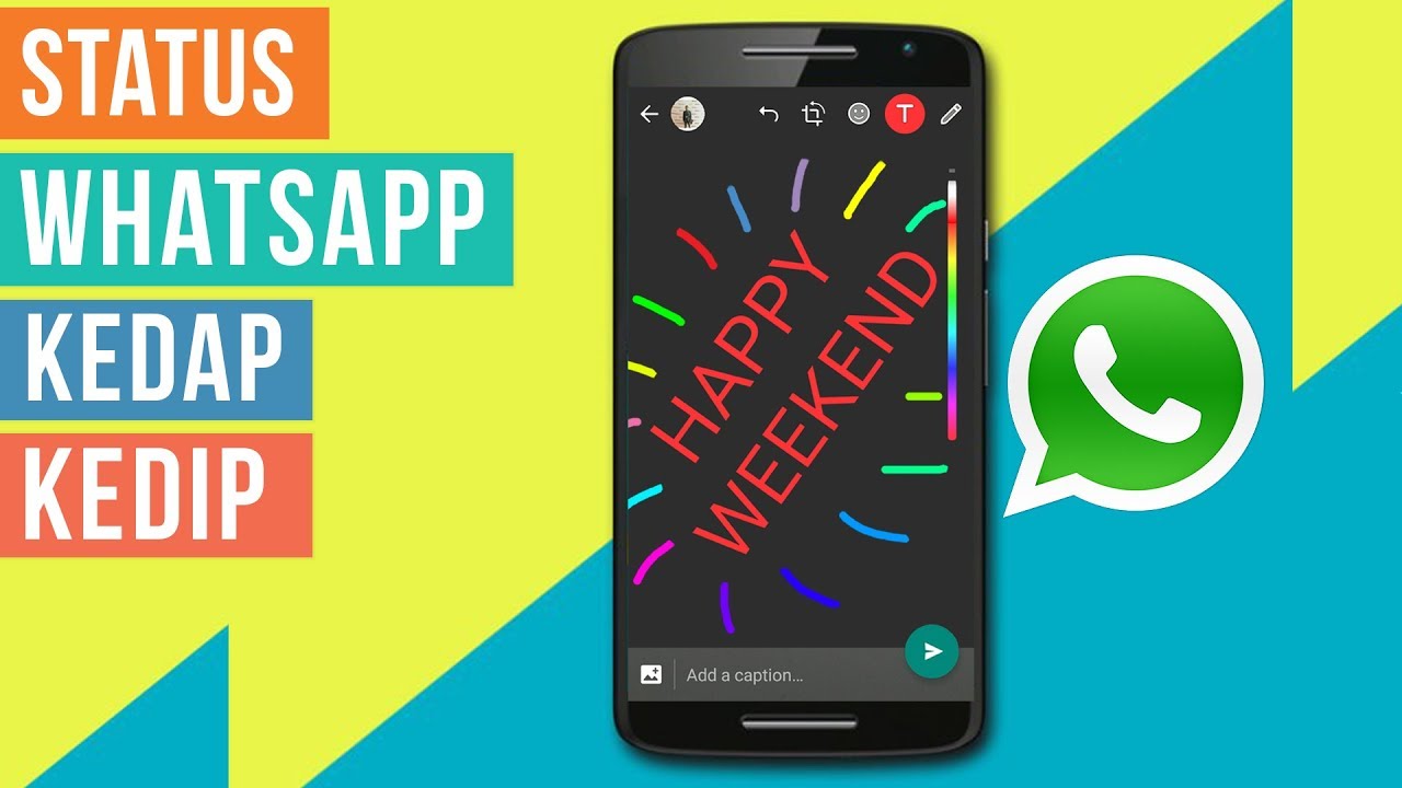 Cara Membuat Status Kedap Kedip Di Whatsapp Youtube