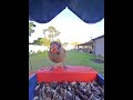 #cardinal #everythingnature #backyardwildlife #birdfeedercamera #soundsofnature #birdingparadise