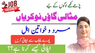 Punjab Rural Municipal Services Company Jobs 2026 Apply Online District /  Model Villages Project