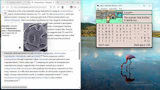 studysession-06172026.mov