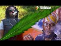 Mad Sam feat. Jah Mason - Wrap Up A Spliff [Official Video 2021]