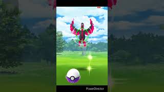 賣造！伽勒爾火焰鳥 Galar Region Moltres 看我大師球Master Ball的厲害！