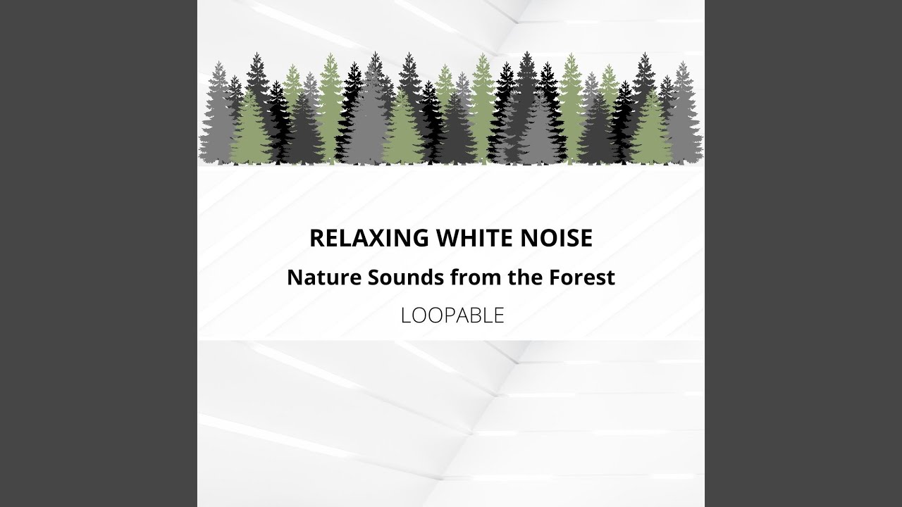 YouTube에서 Wet Birds (White Noise) Loopable 보기
