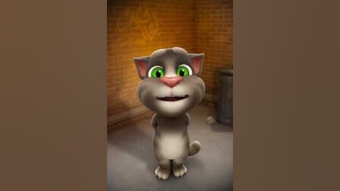 صوت القط توم في قراءة سورة **الفاتحة**