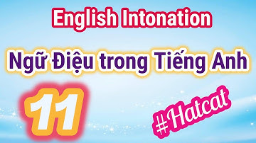 #Hatcat: Ngữ Điệu Trong Tiếng Anh - Intonation on Paltalk with Hatcat - Track 11