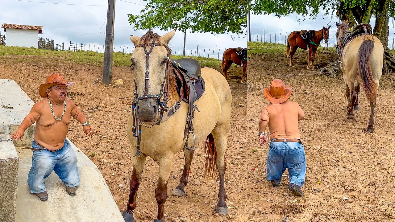 CAVALO FOGE E PILILIU CORRE DESESPERADO 😂 | PILILIU DA RESENHA