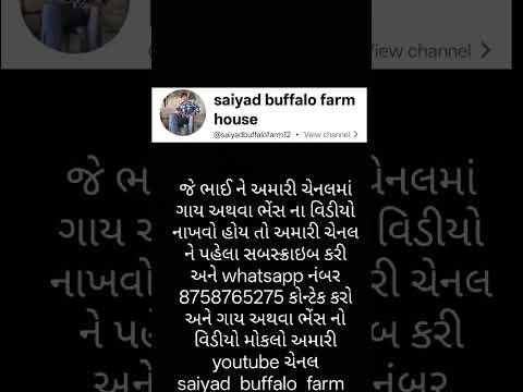 #music #automobile #cow #musicremix #bull #lifeisbutadream #ekmotahathighumechala #animalsong by saiyad buffalo farm house 