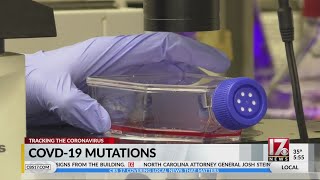COVID-19 mutations