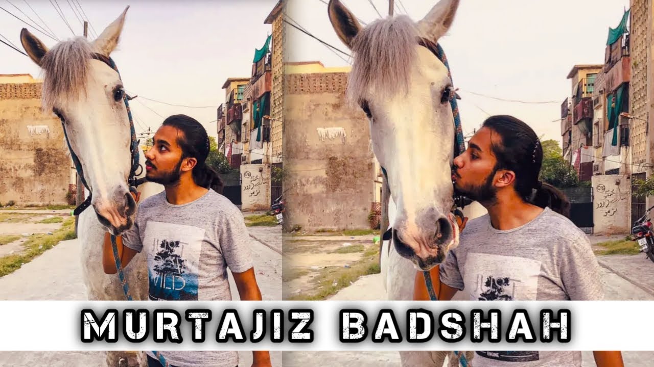 Zuljanah Murtajiz Badshah Lahore | Zuljanah Vlog | Beautiful Zuljanah