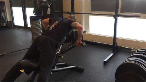 DB Chest supported row, elbows out