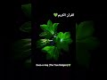 Quran#islamforeever #quranictranslation #islamicvideo #viralshort