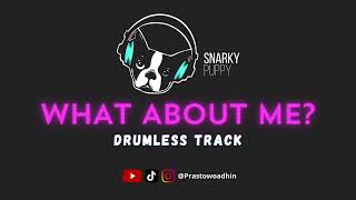 Free Drumless What About Me? Snarky Puppy