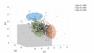Three-Dimensional Representation of Autism Spectrum Disorder (ASD) Neuroanatomy