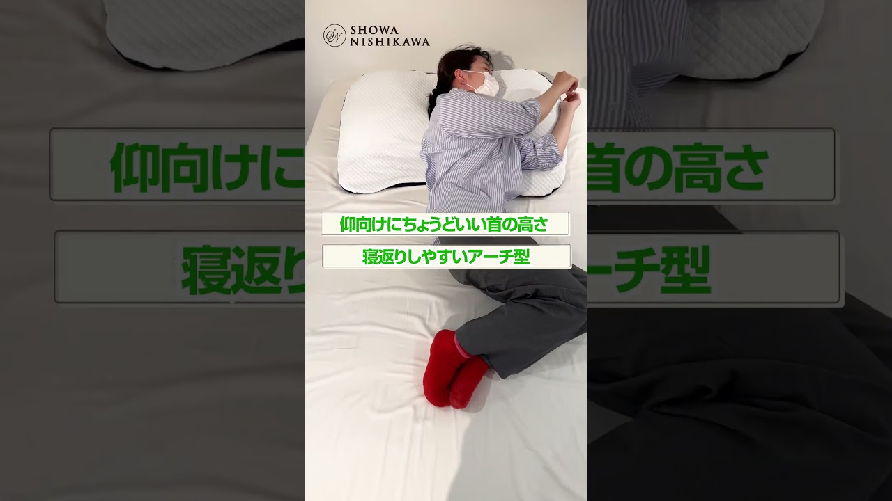 ギガ枕EX/GI-10000 – 西川ストア公式本店