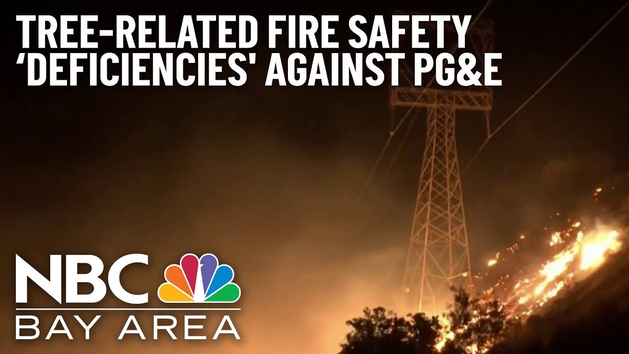 Monitor Issues 20 TreeRelated Fire Safety ‘Deficiencies' Against PG&E