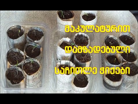 \"მაკულატურით\" დამზადებული საჩითილე ჭიქები / Стаканы для рассады из \"макулатуры\"