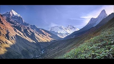 Tính chất dãy tỉ số bằng nhau - Toán lớp 7 [ Online Math - olm.vn]