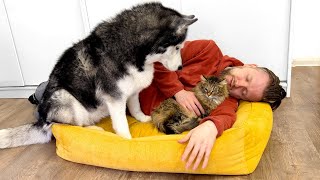 Funniest Cats and Dogs 2024 🐶 You Laugh You Lose 😍 Part 153