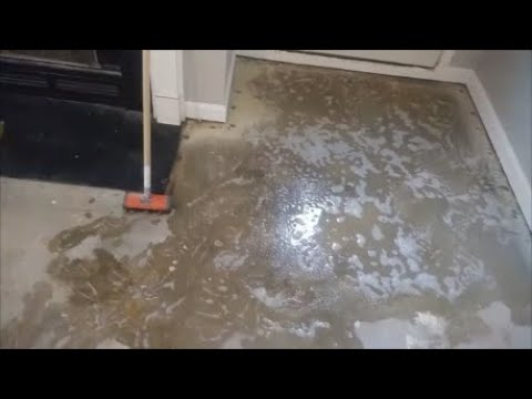 How To Remove Dog or Cat Urine Odor From Concrete For Good - Step By Step