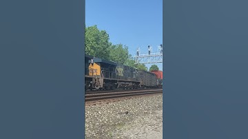 I003 thunders beneath a signal bridge #train #amtrak #csx #railway #intermodal #railfanning