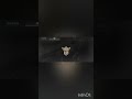 Норм ранг? #standoff2 #стандофф2