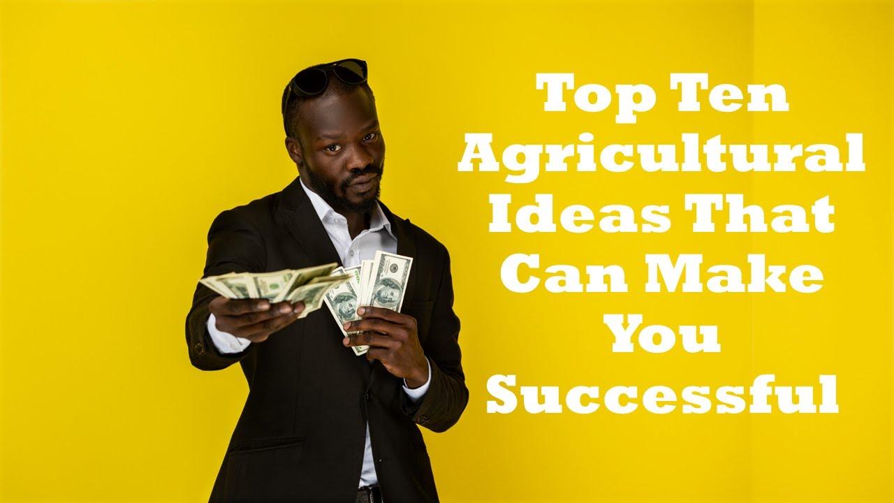 Top Ten Agricultural Ideas That Can Make You Successful. - YouTube