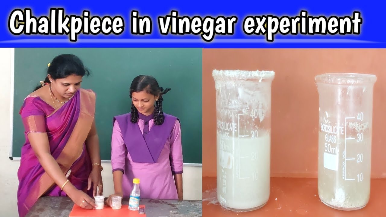 To show break down of food by using the model of chalkpiece kept in