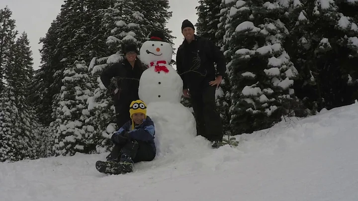 Christmas Tree Hunt 2016