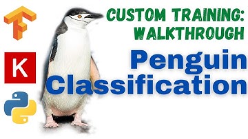 24: Penguin classifier | TensorFlow | Tutorial