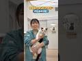 保護犬猫に会える！　あいまるさっぽろ