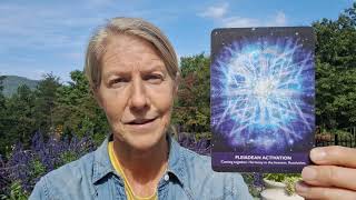9.8.25 Daily Card Reading. Pleadian Activation. Peace and Harmony. Honor the Femi ine.🙏💜