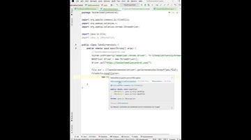 How To Take A Screenshot in Selenium WebDriver | Selenium Java Interview Question and Answer