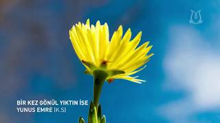 Yunus Emre - Bir Kez Gönül Yıktın Ise