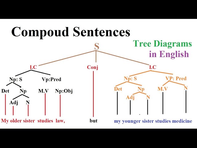 Complex Syntax Tree