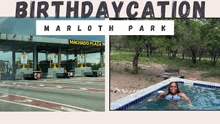 Travel: First time at Airbnb | Birthday Celebration | Marloth Park | Mpumalanga | Jacana Rest Villa