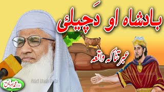 MOLANA IDREES SAHIB | بادشاہ او دَچیلئ عبرتناکہ واقعہ